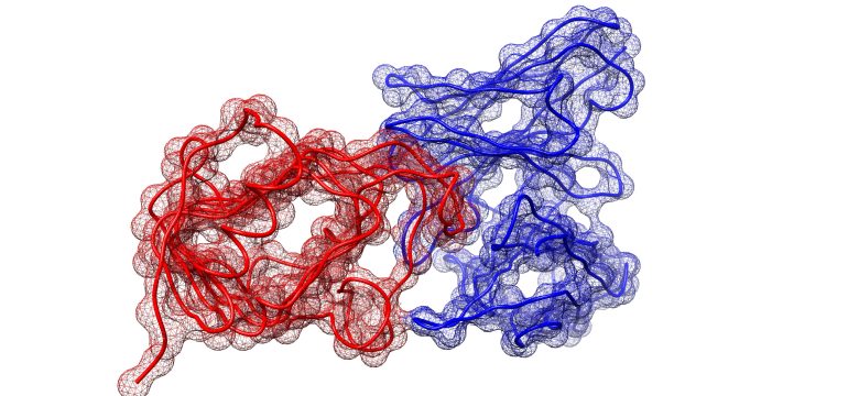 Protein-protein interactions (PPIs) are crucial in regulating numerous cellular functions, including signal transduction, tra