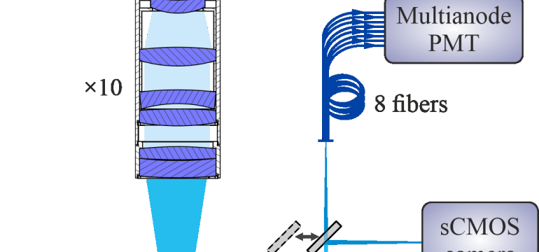 We demonstrate a quantum processor based on a 3D linear Paul trap that uses $^{171}$Yb$^{+}$ ions with 8 individually control