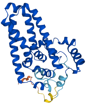 Protein representation learning plays a crucial role in understanding the structure and function of proteins, which are essen