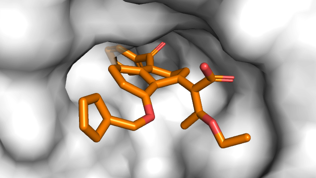 Structure-based drug design (SBDD) aims to generate 3D ligand molecules that bind to specific protein targets. Existing 3D de