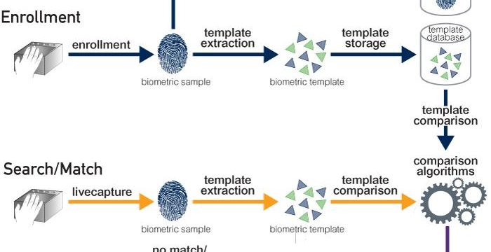 Biometrics involves using unique human traits, both physical and behavioral, for the digital identification of individuals to