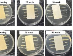 Hospital-acquired infections are considered a priority for public health systems, which poses a significant burden for societ