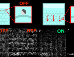 Particle sedimentation through porous media is limited by the inability of passive material to overcome surface interactions