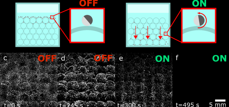 Particle sedimentation through porous media is limited by the inability of passive material to overcome surface interactions