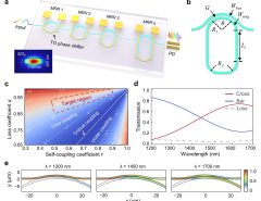 Integrated spectrometers hold great promise for in-situ, in vitro, and even in vivo near-infrared (NIR) sensing applications.