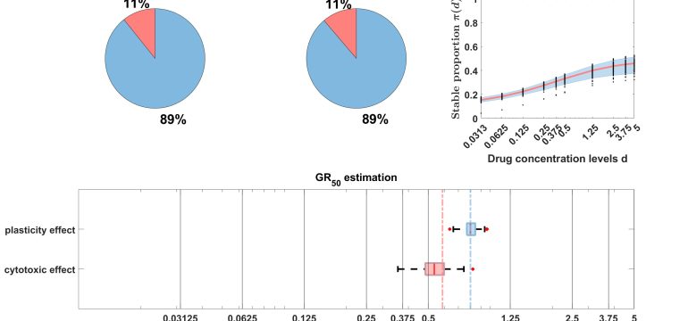 Resistance to therapy remains a significant challenge in cancer treatment, often due to the presence of a stem-like cell popu